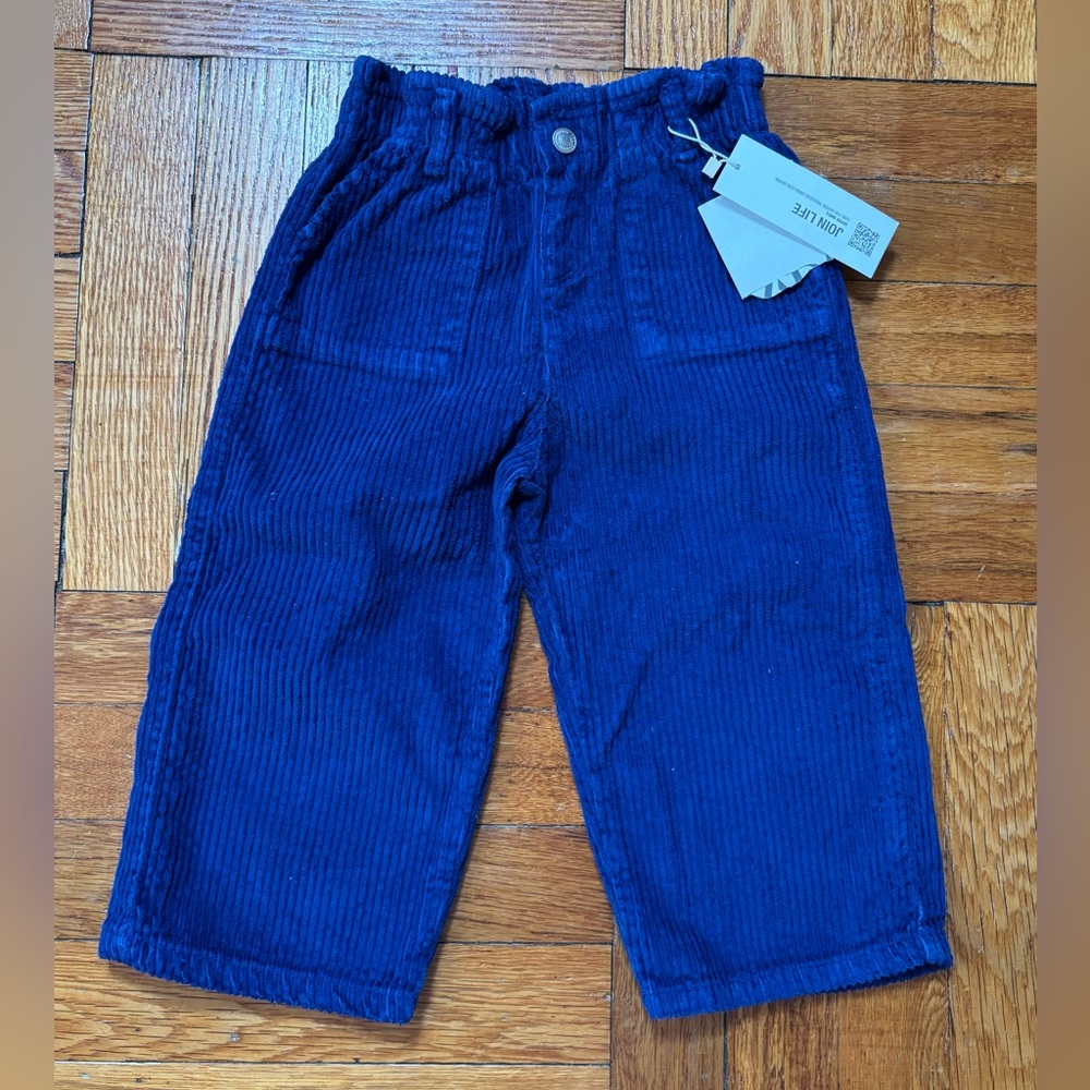 ZARA Kids Paperbag Waist Corduroy‎ Pants Blue Size 2/3 NWT